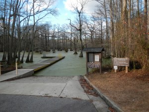 20131215_AlligatorPit